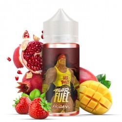 E-liquide Hogano 100ml - Fighter Fuel